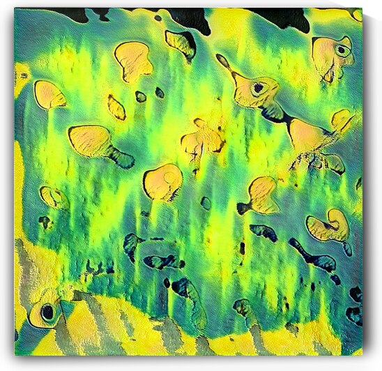 1741 8K by Abstratica