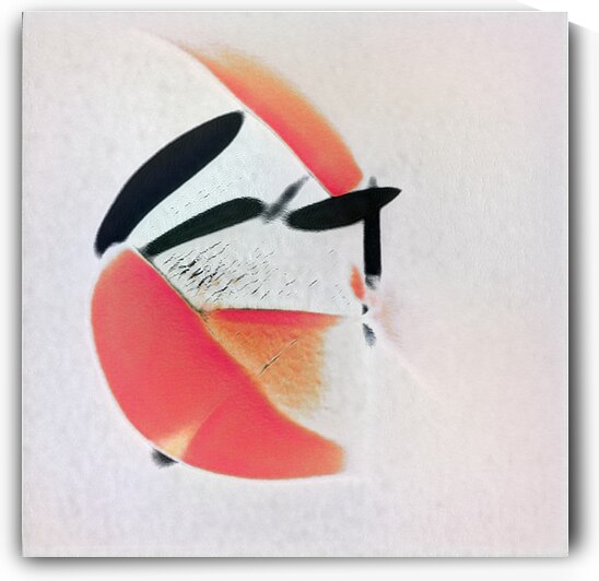 1876 8K by Abstratica