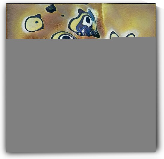 2136 8K by Abstratica