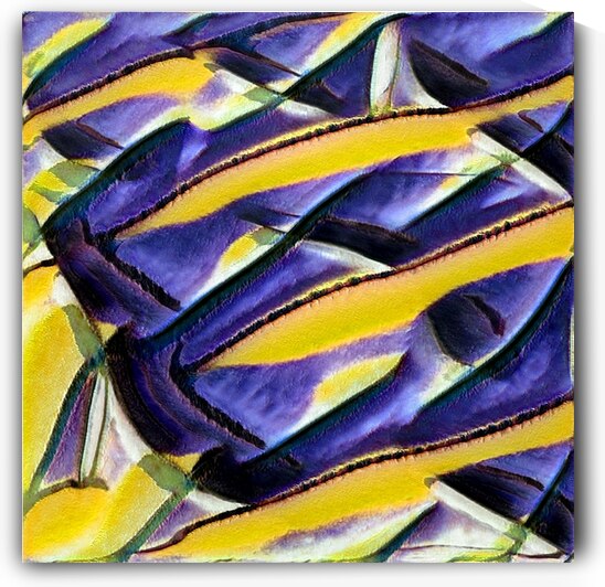 2166 8K by Abstratica