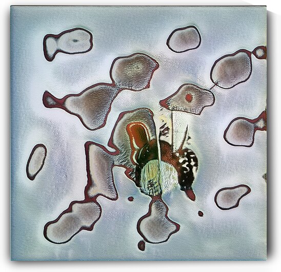 2295 8K by Abstratica