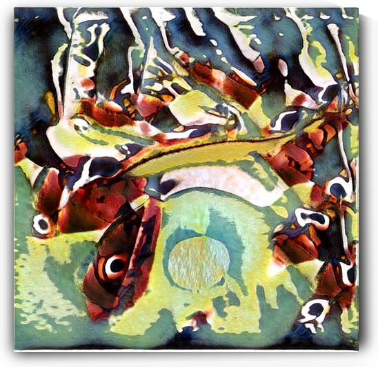 2294 8K by Abstratica