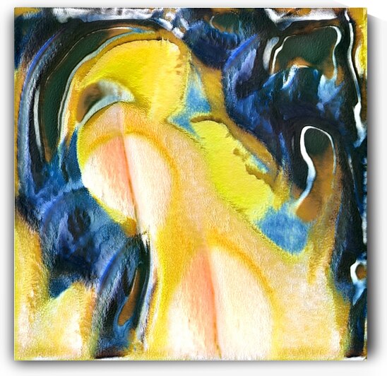 2313 8K by Abstratica