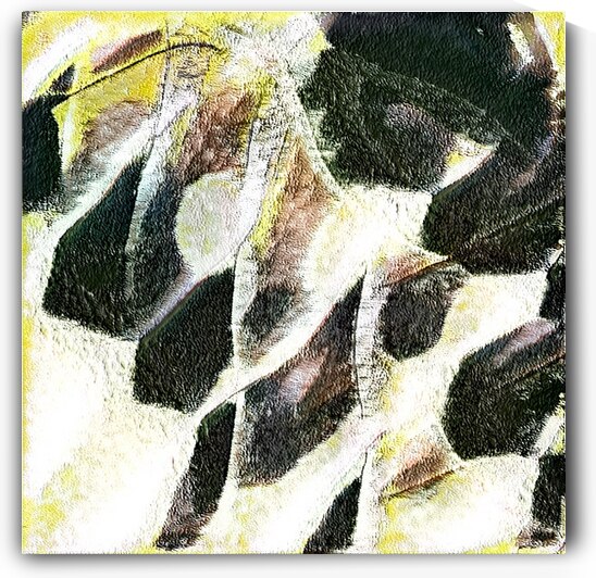 2403 8K by Abstratica