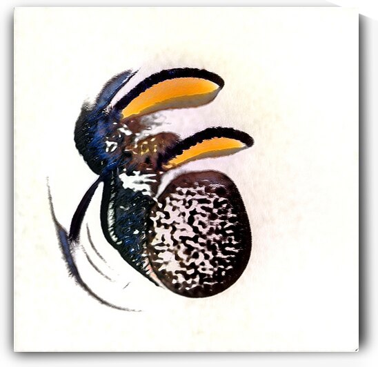 2417 8K by Abstratica