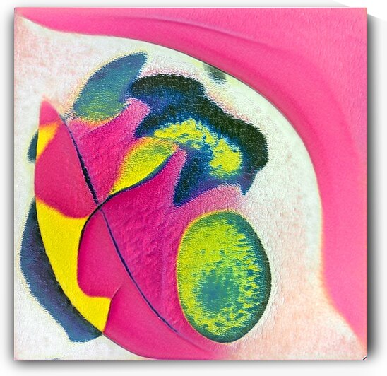 2551 8K by Abstratica