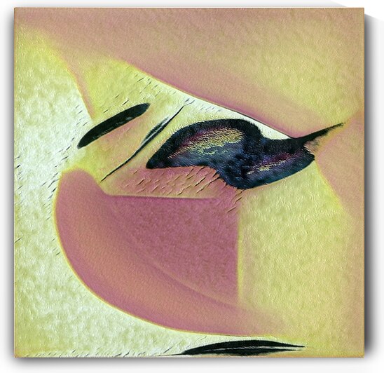 2548 8K by Abstratica