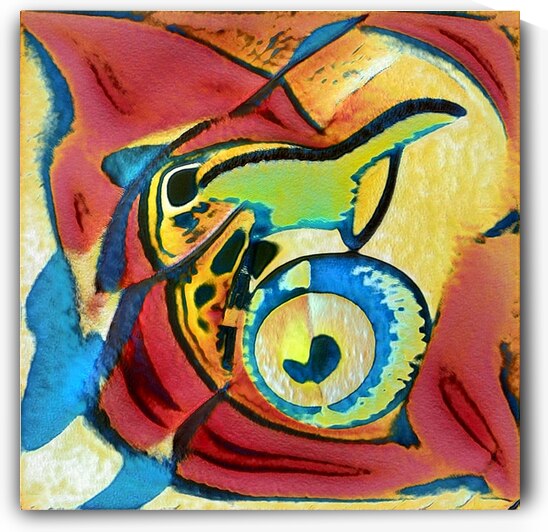 2544 8K by Abstratica