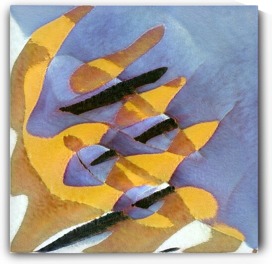 2581 8K by Abstratica