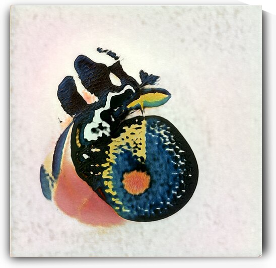 2577 8K by Abstratica