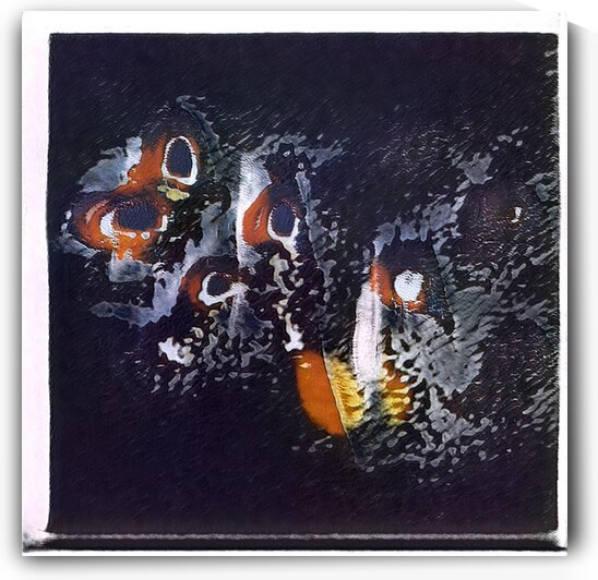 2567 8K by Abstratica