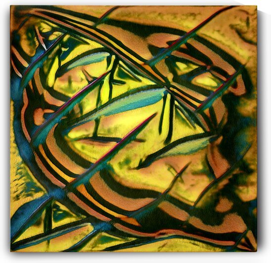 2616 8K by Abstratica