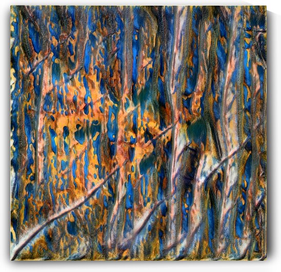 2611 8K by Abstratica