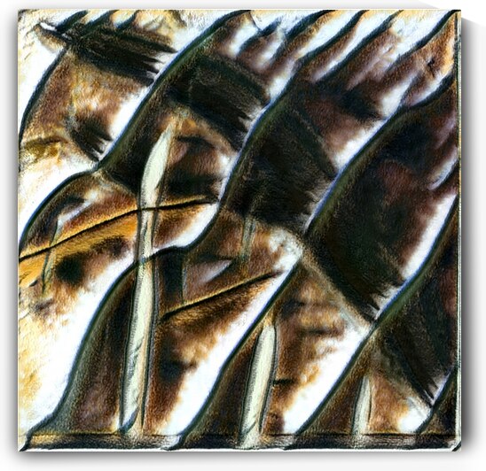 2677 8K by Abstratica