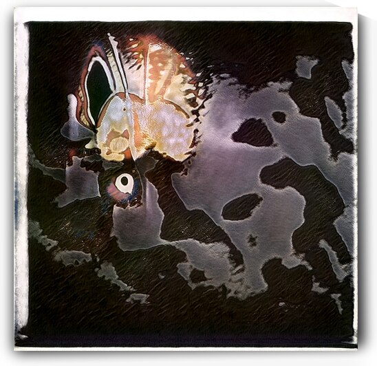 2794 8K by Abstratica