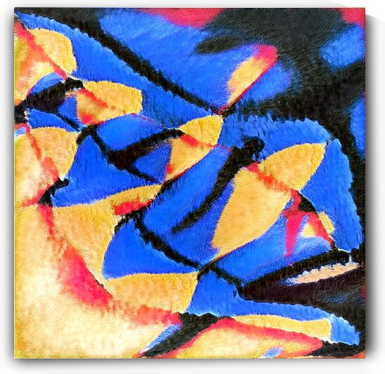 2911 8K by Abstratica