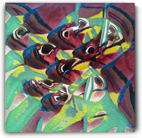 3005 8K by Abstratica