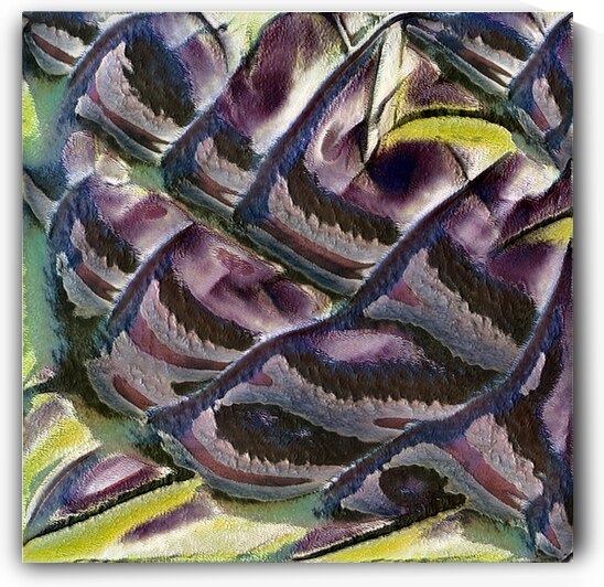 3059 8K by Abstratica