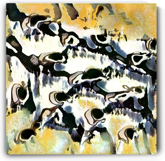 3108 8K by Abstratica