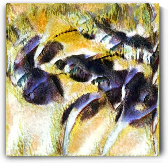 3205 8K by Abstratica