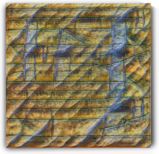 3207 8K by Abstratica