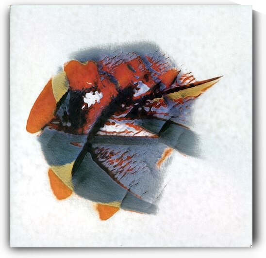 3245 8K by Abstratica