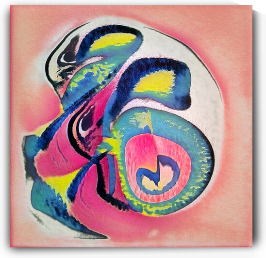 3356 8K by Abstratica