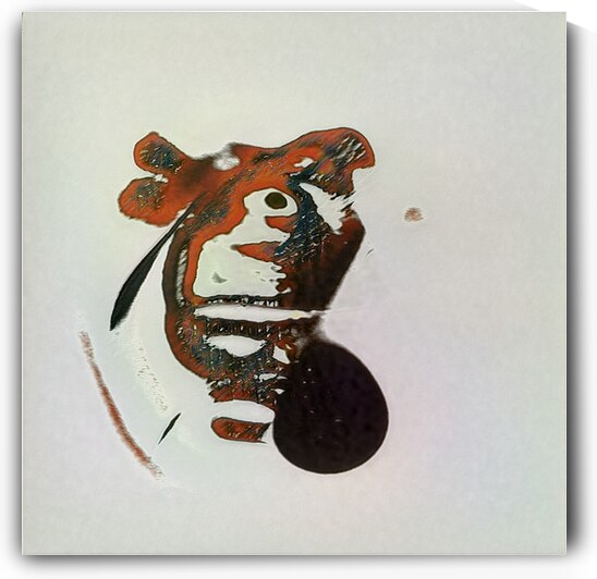 4072 8K by Abstratica