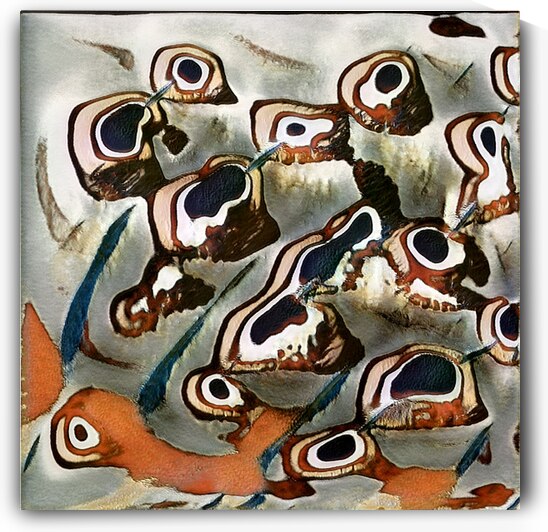 4102 8K by Abstratica