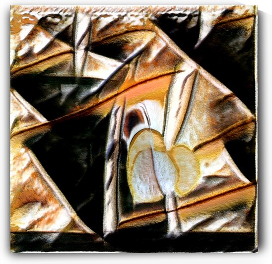 4084 8K by Abstratica