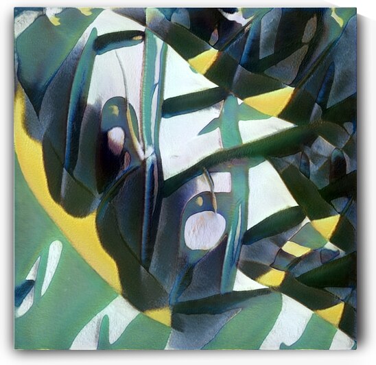 4081 8K by Abstratica