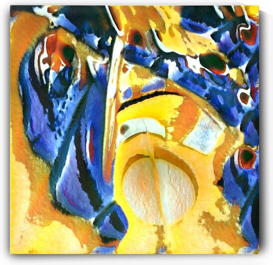 4198 8K by Abstratica