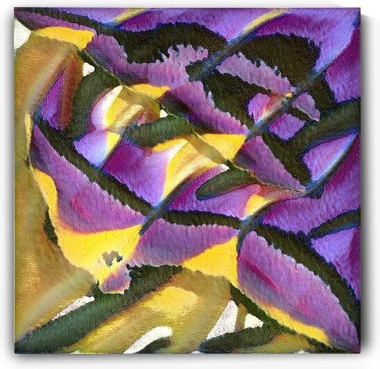 4161 8K by Abstratica