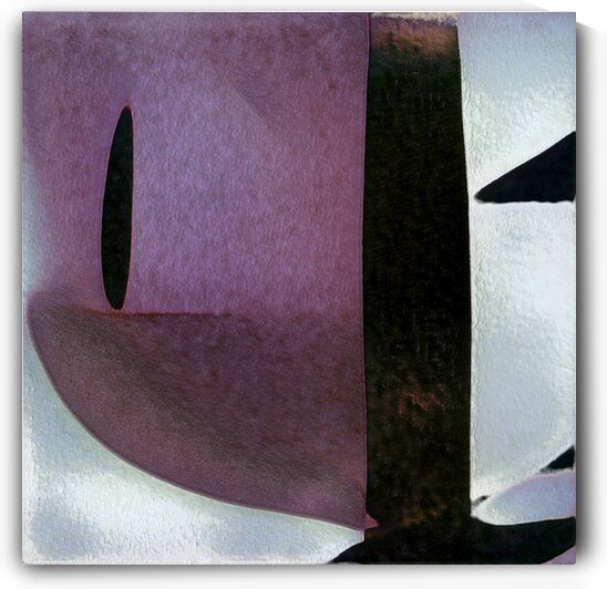 4172 8K by Abstratica