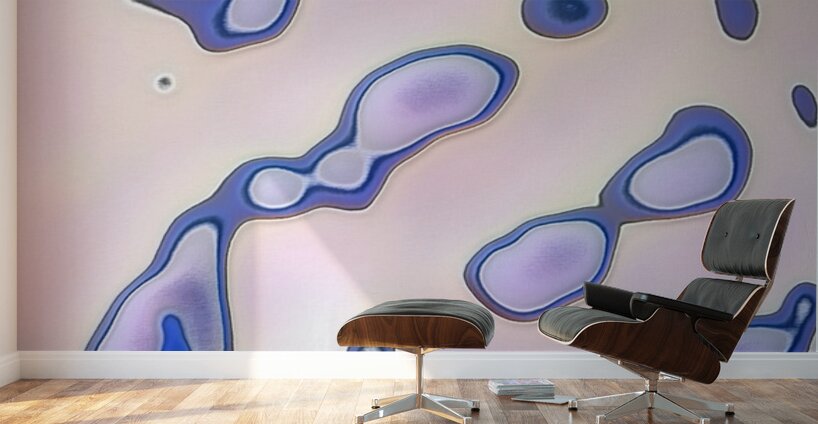 460 8K Wall Murals