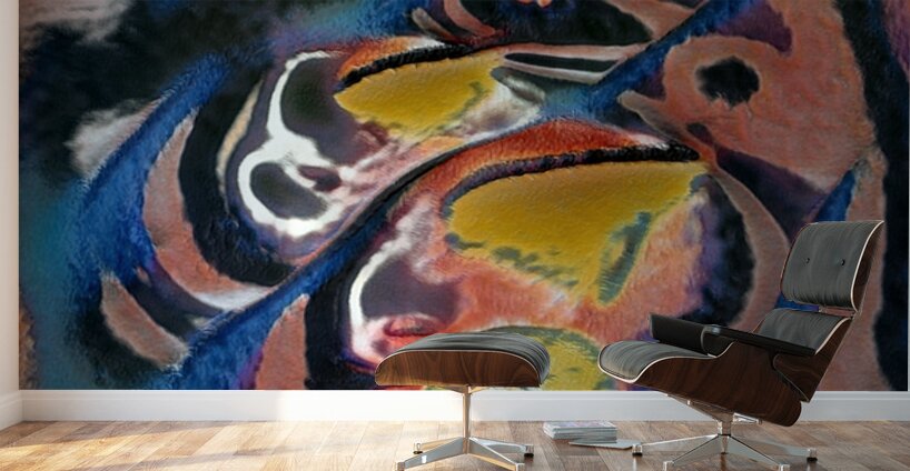 458 8K Wall Murals