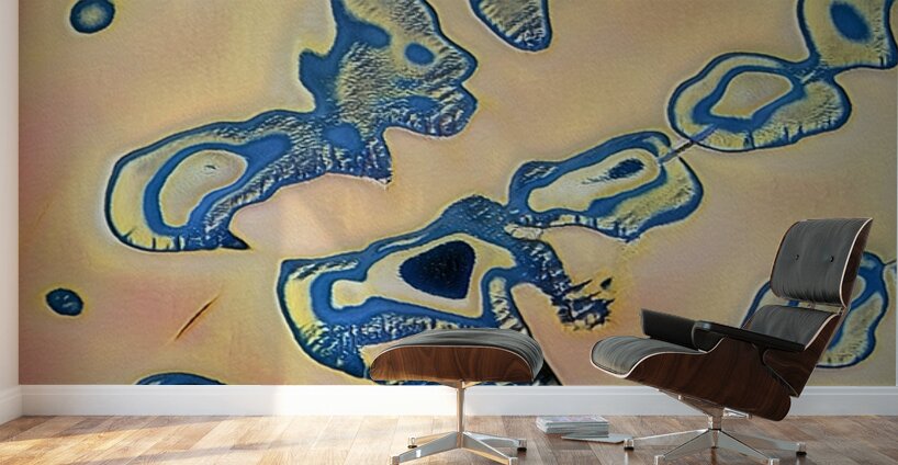 538 8K Wall Murals