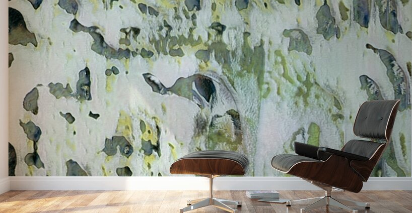 1113 8K Wall Murals