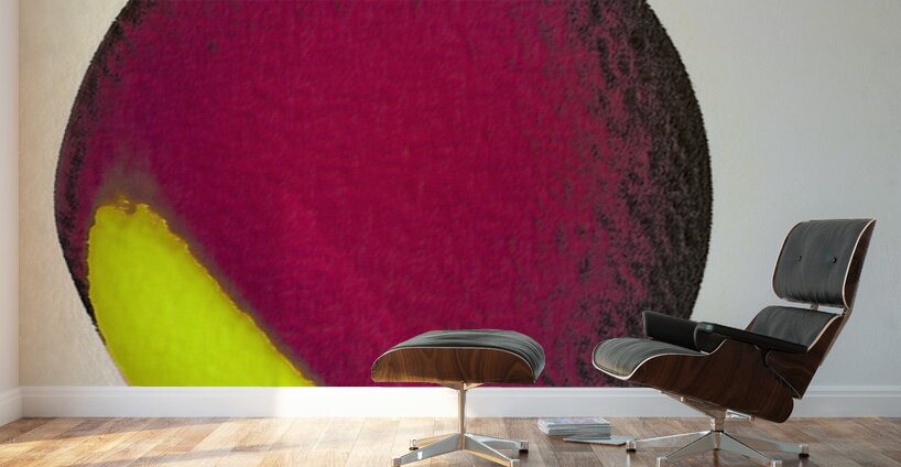 1739 8K Wall Murals