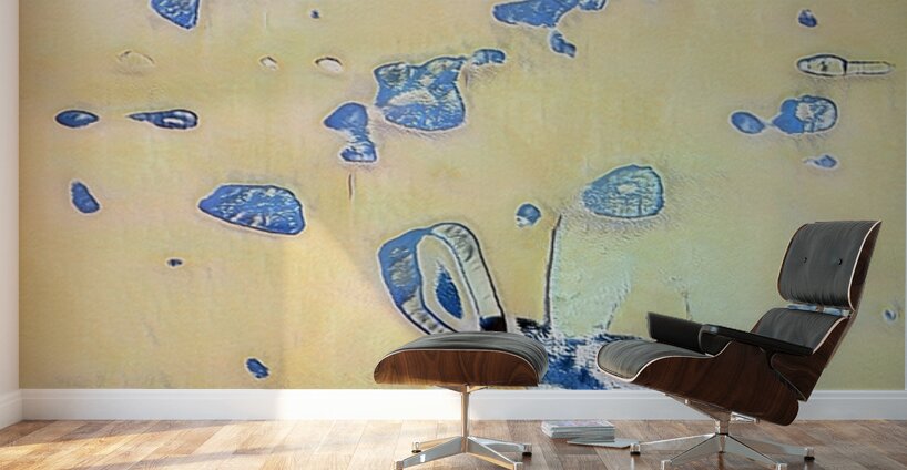 2228 8K Wall Murals