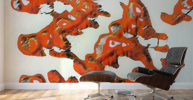 2704 8K Wall Murals