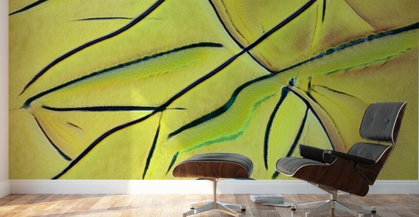 2720 8K Wall Murals
