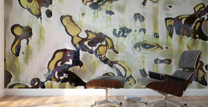 2827 8K Wall Murals