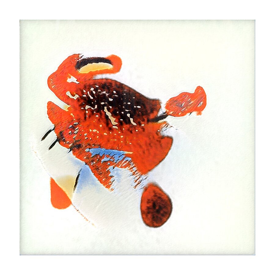 1735 8K Picture Frame print