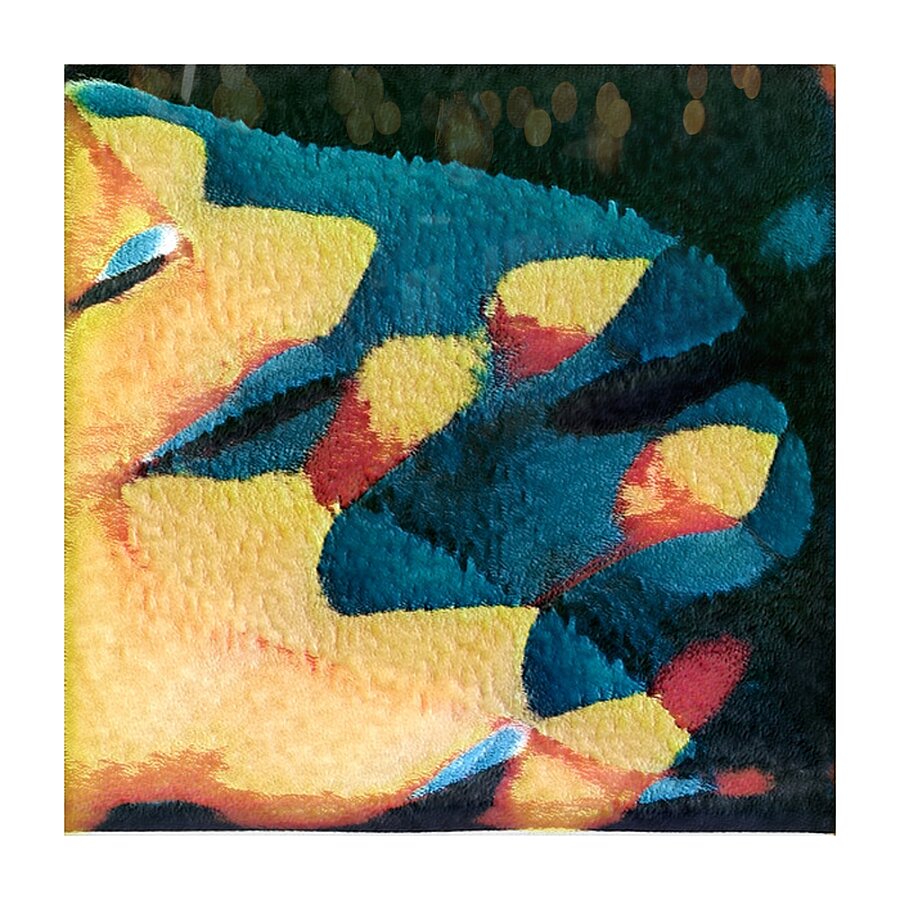 2364 8K Picture Frame print