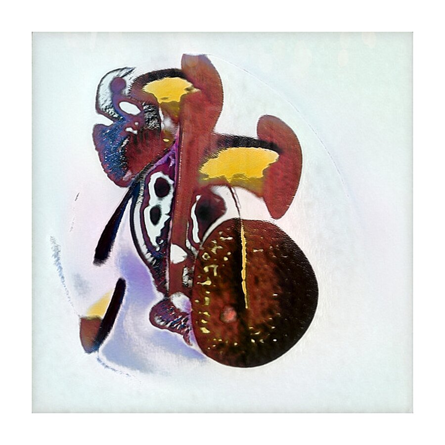 3031 8K Picture Frame print