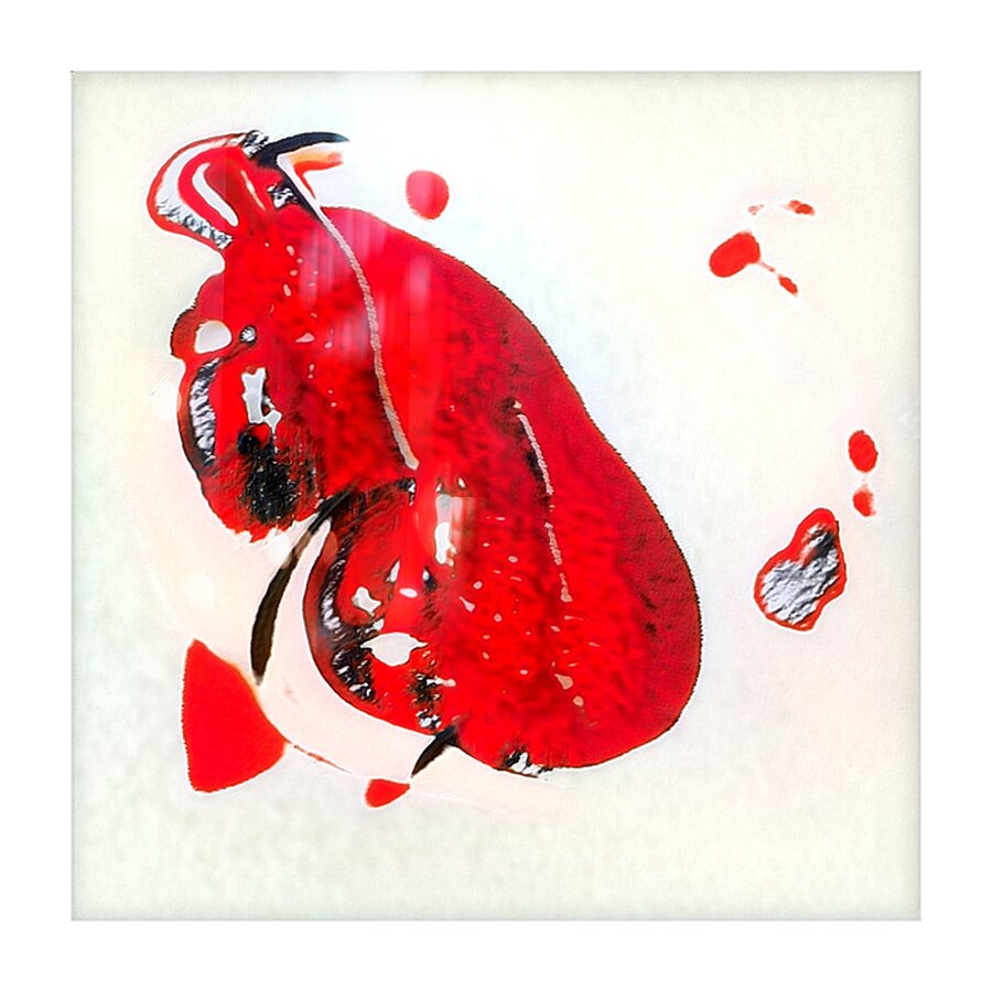 3088 8K Picture Frame print