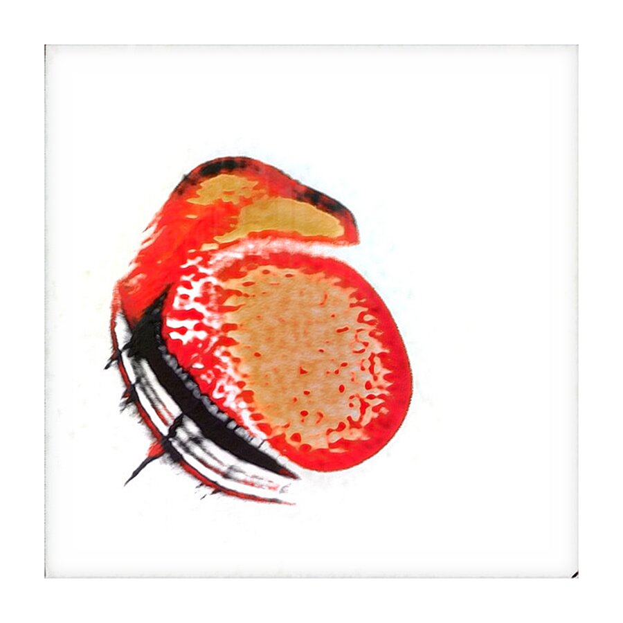 4057 8K Picture Frame print