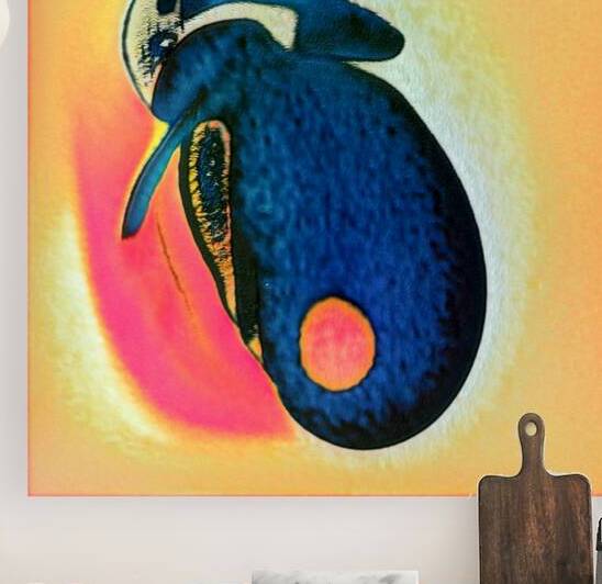 1181 8K by Abstratica