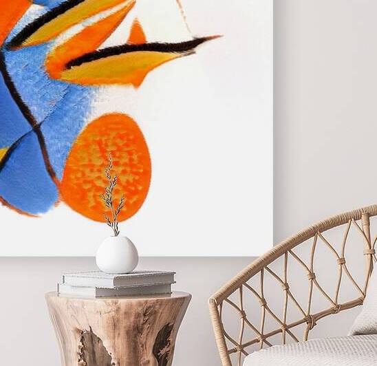 1162 8K by Abstratica